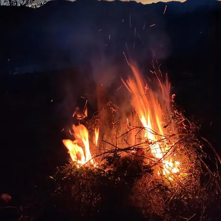 Feriehus Naturparadies Am *