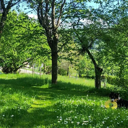Dom wakacyjny Naturparadies Am