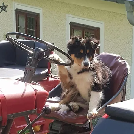 Dom wakacyjny Naturparadies Am *