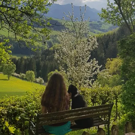 بيت للعطل Naturparadies Am Sonntagberg