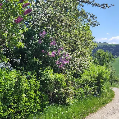 Naturparadies Am Sonntagberg