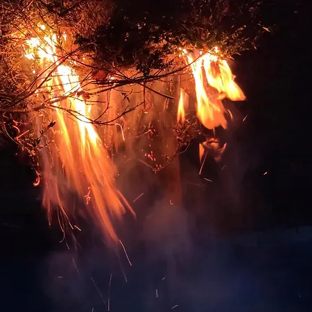 Naturparadies Am * Sonntagberg