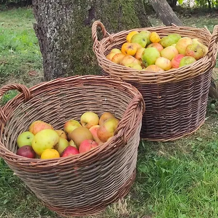 Naturparadies Am
