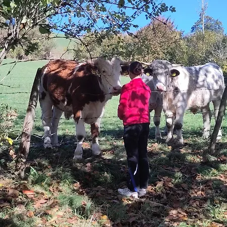 Naturparadies Am בית נופש *