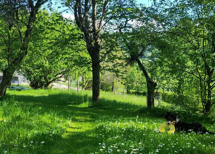 Vakantiehuis Naturparadies Am