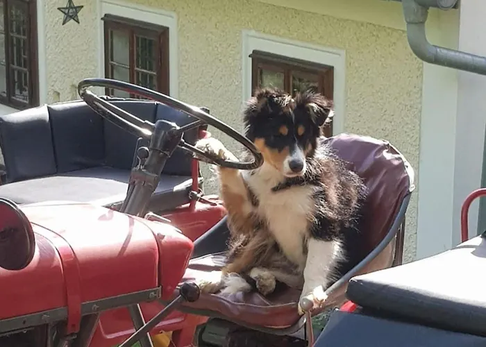 Vakantiehuis Naturparadies Am *