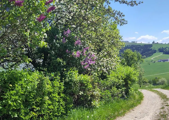 Naturparadies Am Sonntagberg