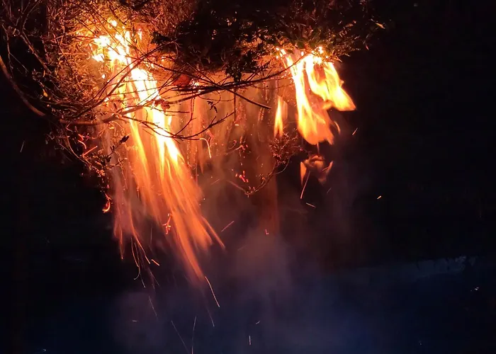 Naturparadies Am * Sonntagberg