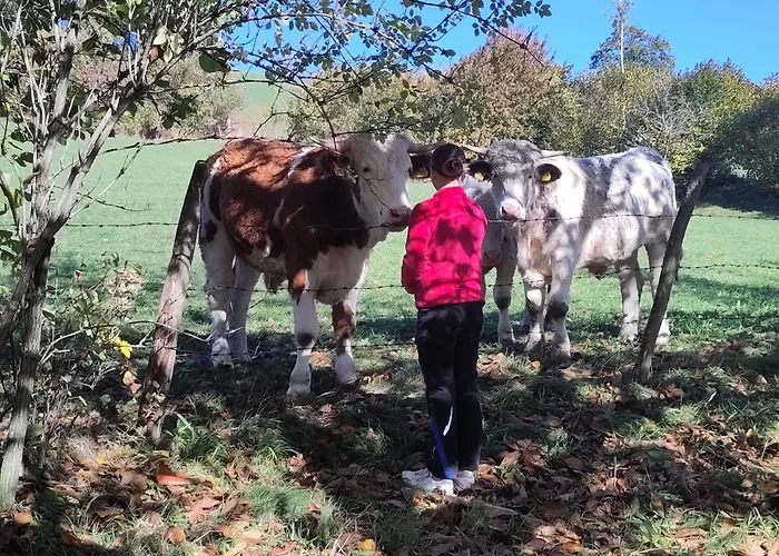 Naturparadies Am Vakantiehuis *